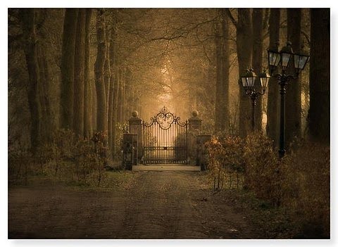 Forest Gate, Poland
